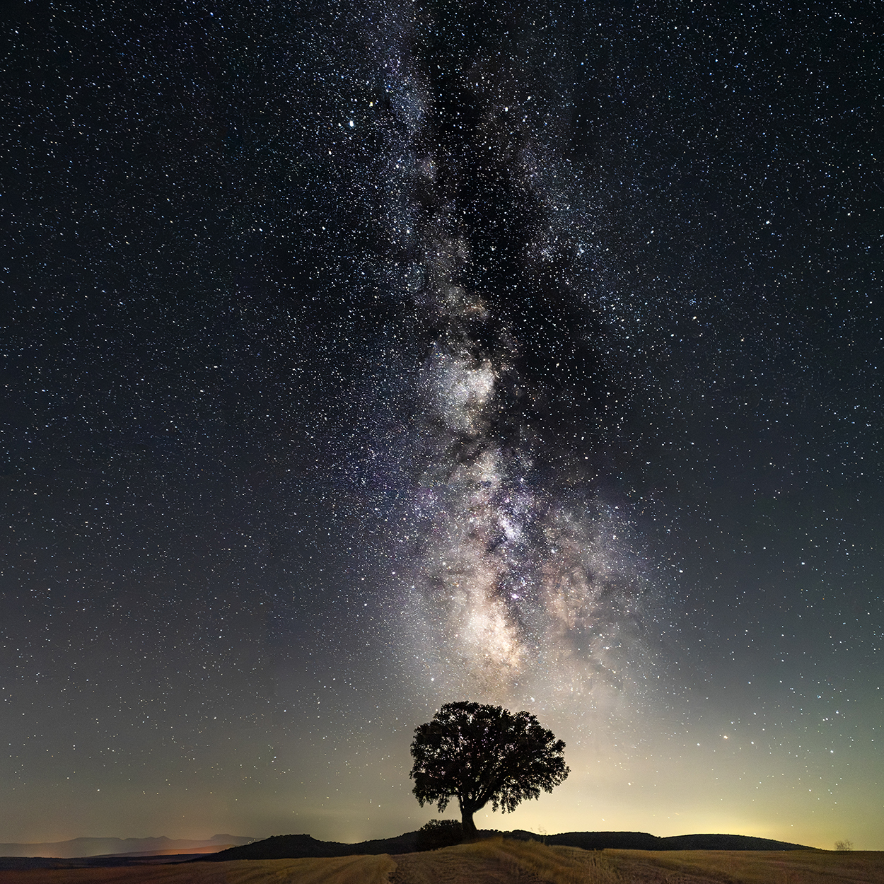 2025. NOVIEMBRE. TEMA: 